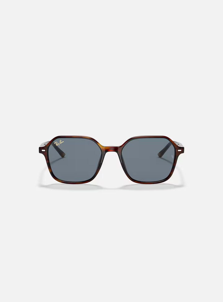 RAYBAN -ORB2194-