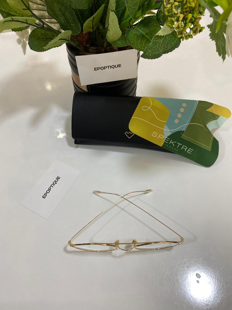 SPEKTRE -RIGAUT RG02FT-