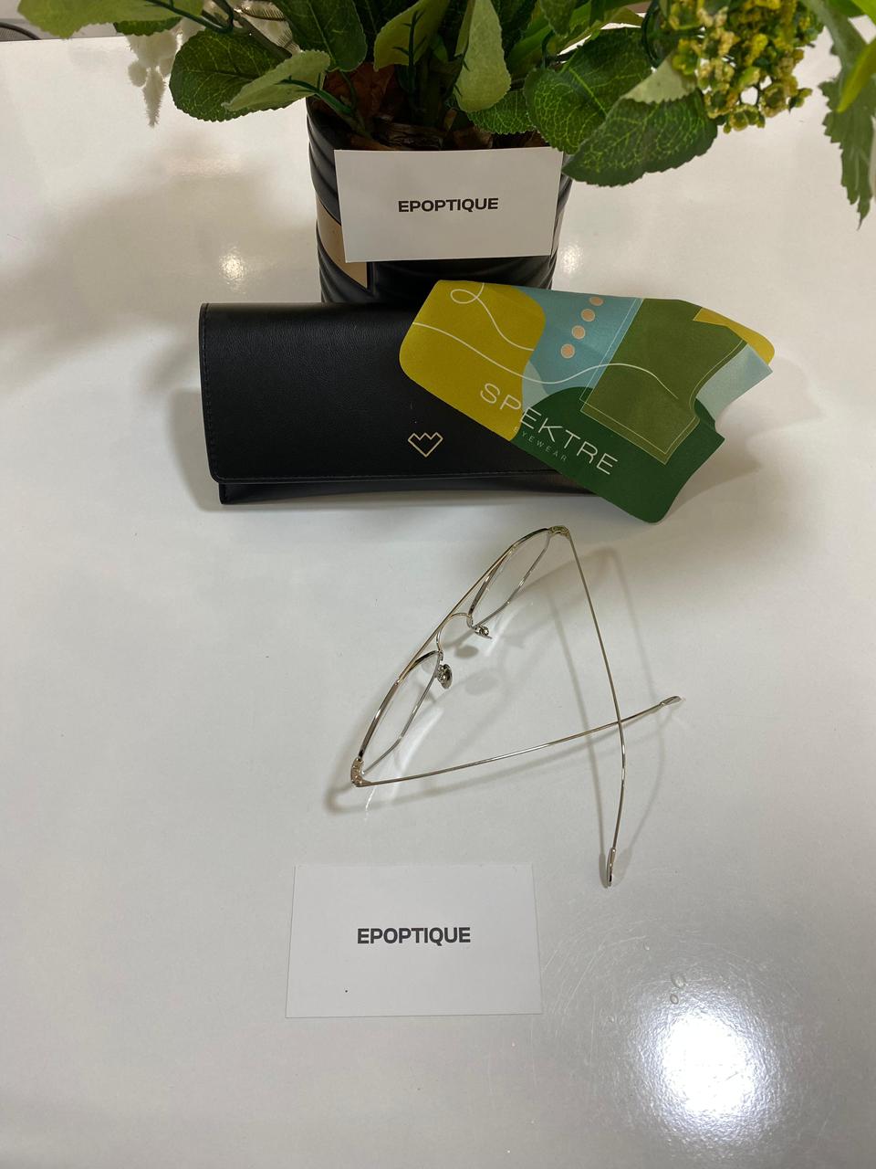 SPEKTRE -RIGAUT RG02FT-