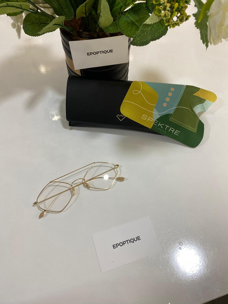 SPEKTRE -RIGAUT RG02FT-