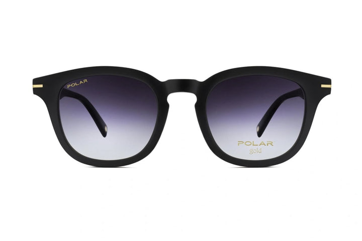 POLAR GOLD - C08 77 -2EN1-